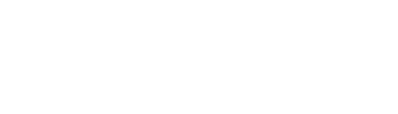 The Selwyn School